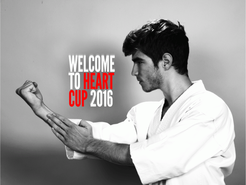 heart cup 2016